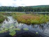 P6110421 TG6MLR2023.jpg