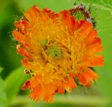 P6120469 TG6MLR2023.jpg