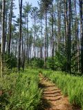 P6120494 TG6MLR2023.jpg