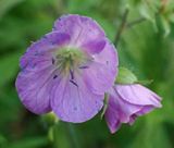 P6120528 TG6MLR2023.jpg