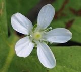 P6120531 TG6MLR2023.jpg