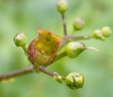 P6130587 TG6MLR2023.jpg