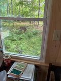 IMG_0240 MLR2023.jpg
