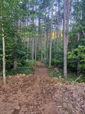 20250811_062954 TG6MLR2023.jpg