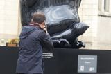20-02-2025 - Little emperor & his photographer / Petit empereur & son photographe