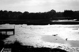 09-11-2007 : Low tide / Mare basse