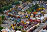 New Rainier Vista Neighborhood, Seattle, Washington 446 
