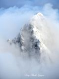 Winter on Whitehorse Mountain, Cascade Mountains, Washington 122  