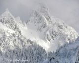 Merchant Peak, Cascade Mountains, Washington 290  