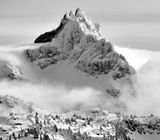 Bears Breast Mountain, Wenatchee National Forest, Cascade Mountains, Washington 633a 