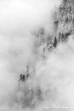 Winter Landscape on North Preacher Mountain, Cascade Mountains, Washington 358  