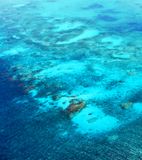 Coral Reef Around San Andros Island, The Bahamas 233  