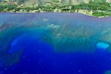 Coral Reef off Molokai, Hawaii 413  