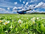 Daher Kodiak 100 at Bruce Meadows airstrip Idaho 