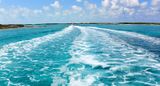 Channel between Pipe Cay and Joe Cay, The Bahamas 369  