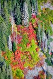Autumn Colors on El Capitan Peak, Washington 568  