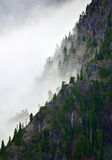 Vertical Cliff on Mount Duckabush, Washington 492 