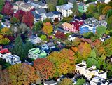 Fall Colors in Mount Baker Neighborhood, Seattle, Washington 100  