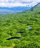 Small Lakes on Kodiak Island, Alaska 2077  
