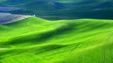 Rolling Hills of The Palouse by Pullman Airport, Washington 748 