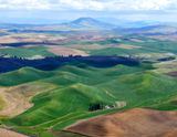 All Lead to Steptoe Butte, Palouse Hills, Washington 380 