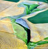 Colorful Landscape on Palouse Hills near  Gould City Washington 254 