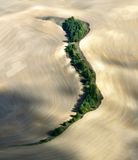Sliver of Green in Field, Palouse Hills, Washington 454  