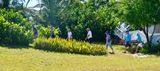 Follow Allen to The Cholera Cemetery, Hope Town, Elbow Cay, Bahamas 800 
