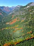 Gold Creek Valley, Rampart Ridge, Alta Mountain, Chikamin Peak, Huckleberry Mt, Alaska Mountain, Washington 166