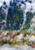 Fall Colors on Gunn Peak, Cascade Mountains, Washington 248 
