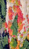 Bright Colors of Fall on Three Queens, Chikamin Ridge, Mineral Creek, Washington 356 