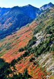 Alaska Mountain, Collar Mountain, Gold Creek Valley, Cascade Mountains, Washington 204  