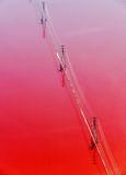Powerlines across Cargill Salt Pond, Newark, California 4341a  