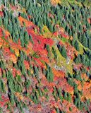 Rampart Ridge, Rocky Run, Cascade Mountains, Washingon 283  
