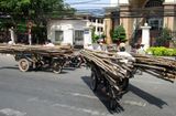 Hauling logs on Tricycles, Saigon Vietnam 292 