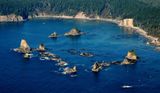 Gaints Graveyard, Pacific Ocean, Olympic Peninsula, Washington 