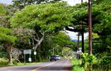 Koloa Road North 520, Old Koloa Town, Kauai, Hawaii 440  
