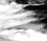 Hidden Wonder in Naches River, Washington 022a  