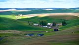 Country Road in Palouse Hills by Pullman Airport, Pullman Washington 208 