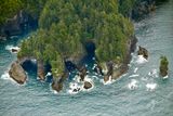 Cape Flattery, Olympic Peninsula, Washington 435  