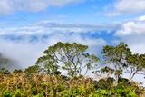 Kalalau Lookout, Kokeʻe State Park, Nā Pali Coast State Wilderness Park, Kauai, Hawaii 754