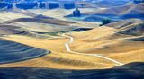 Colorful Palouse Landscape by Colfax Airport, Washington 575  