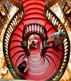 Livraria Lello Red Staircase, Porto, Portugal 1605  