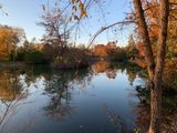 18 Late Fall/Late Afternoon Neighborhood Pond