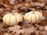 03 Two Little Pumpkins