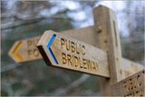 08 Signpost