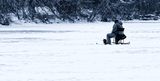 16 Hoping for Fish