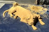 Sand Dog and Puppies