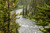 17 A Wet Summer Day in Yellowstone
