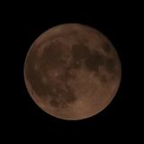 18 Sturgeon Moon